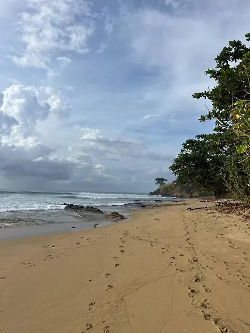 Dora At The Beach - Full House In Rincon Villa 0*,