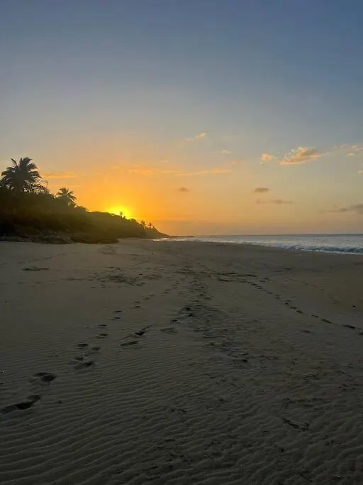 Dora At The Beach - Full House In Rincon contacts